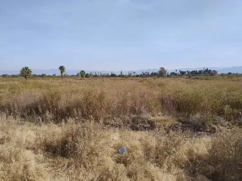 Terreno en Venta de 25000,0 m2