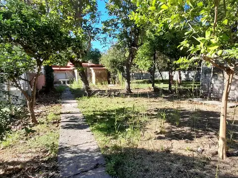 Julio Argentino Roca al 300