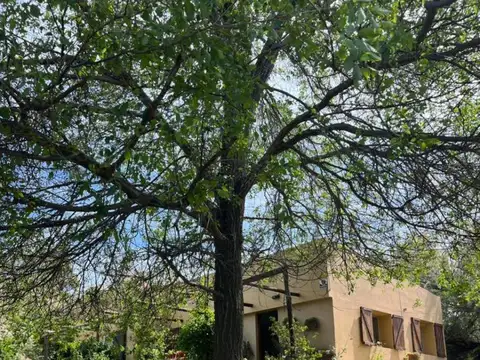 Casa en Venta - 2 Dormitorios 1 Baño - 400mts - Balneario Sauce Grande
