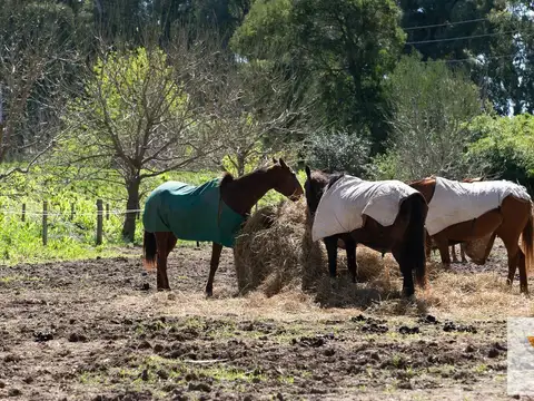Terreno en Venta en General Hornos, USD 40.000