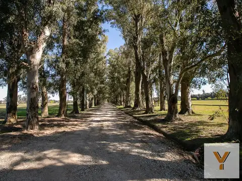 Terreno en Venta de 2200,0 m2