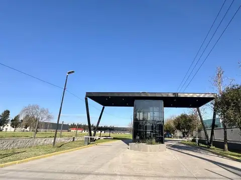 Perito Moreno 501