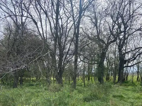 Terreno en Venta de 1769,0 m2