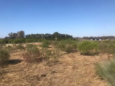 Tomar Panamericana-Ruta 9 (Buenos Aires-Rosario).  · Bajar en kilómetro 115 a la derecha y tomar camino vecinal entoscado.  · Avanzar recto 7 kilómetros.  · Doblar a la derecha, avanzar 300 metros y,