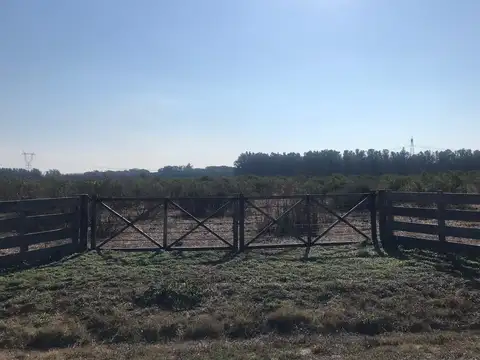 Tomar Panamericana-Ruta 9 (Buenos Aires-Rosario).  · Bajar en kilómetro 115 a la derecha y tomar camino vecinal entoscado.  · Avanzar recto 7 kilómetros.  · Doblar a la derecha, avanzar 300 metros y,