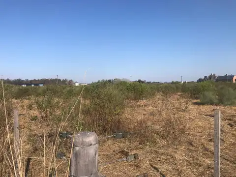 Terreno en Venta 51  mts Fondo