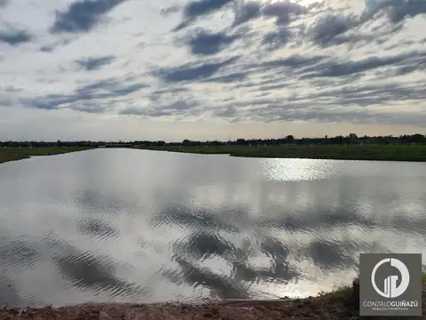 Terreno en Venta en Funes, Rosario