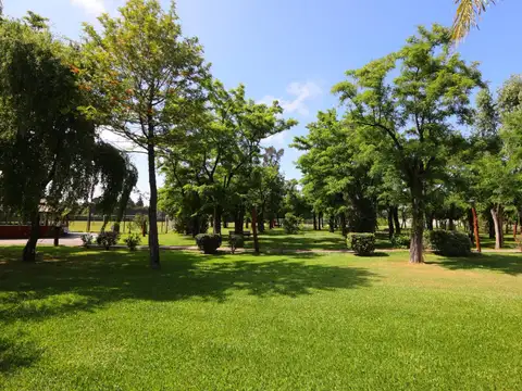 VENTA PREDIO DE 3 HECTAREAS EN MARIANO ACOSTA