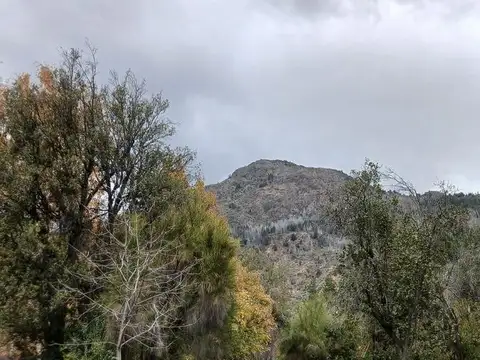 RUTA 40 KM 1927