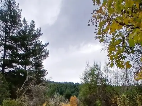 RUTA 40 KM 1927