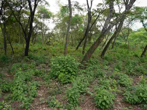 Terreno en Venta en Caldera, USD 19.000