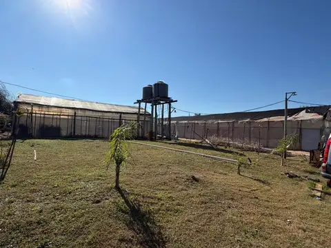 Hermana Clara 800