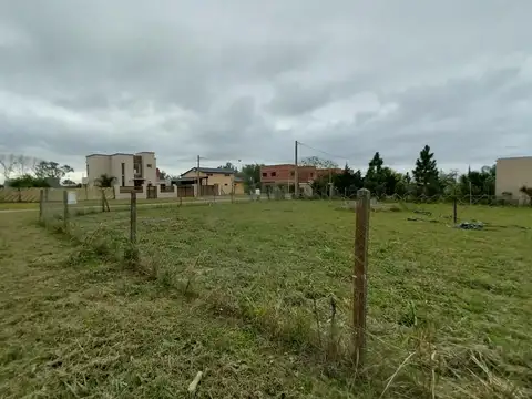 Carlos thais al 1000