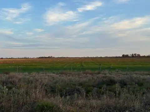 REMAX VENDE CAMPO AGRICOLA SOUTO MAYOR SANTA FE