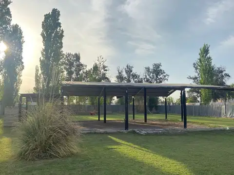 Ruta 60, Barriales, Junín, Mendoza