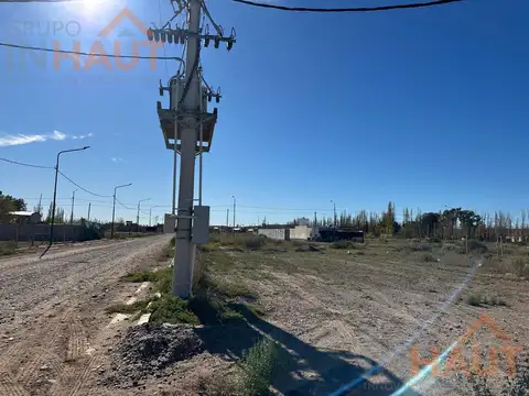 lucinda larrossa al 2000