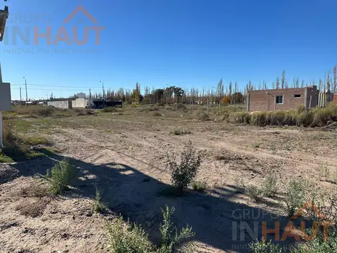 lucinda larrossa al 2000