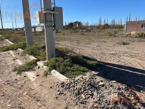 lucinda larrossa al 2000