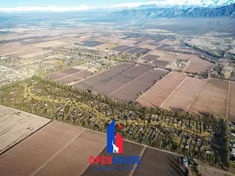 Lujan de Cuyo Mendoza  Barrio privado QUATTRO DEL PLATA , Vistalba.