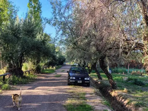 Terreno en Venta en Vistalba, USD 60.000