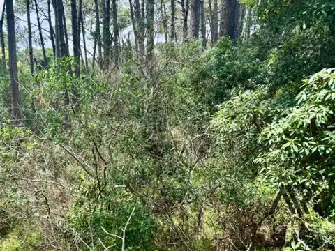 Terreno en venta de 1303m2 ubicado en Laguna Del Sauce