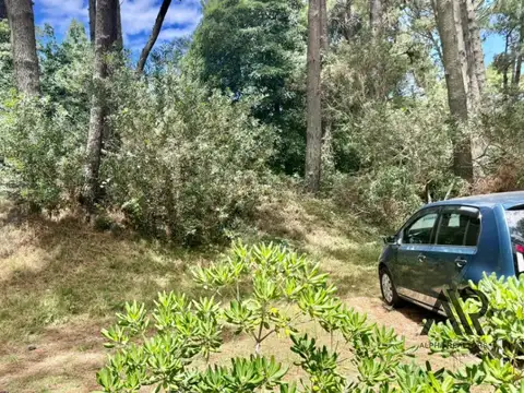 Terreno en Venta en Maldonado, USD 150.000