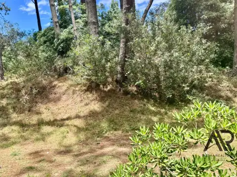 Terreno en Venta 35  mts Fondo