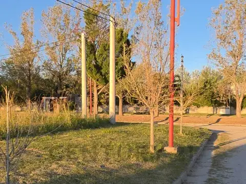 Terreno en Venta 28,50  mts Fondo