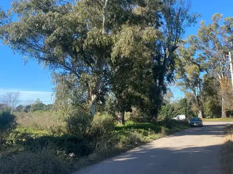 Terreno en Venta en Villa Astolfi, Partido de Pilar