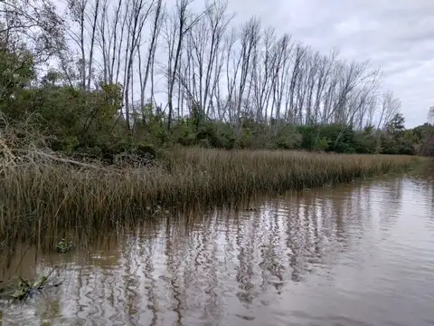 Rio / Arroyo Carapachay  KM 12 Chacras Náuticas 100