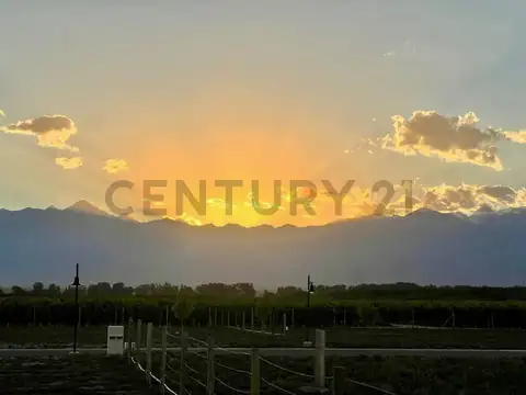 VENTA DE LOTE "TUPUNGATO VALLEY"