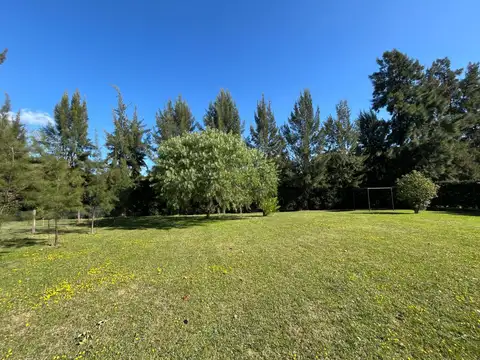 Terreno en Tortugas C.C