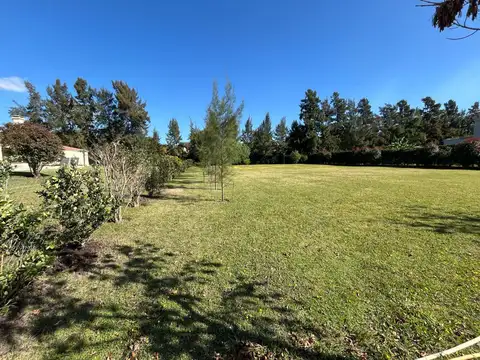 Terreno en Venta 53  mts Fondo