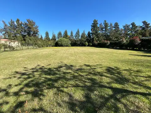 Terreno en Venta 33  mts Frente