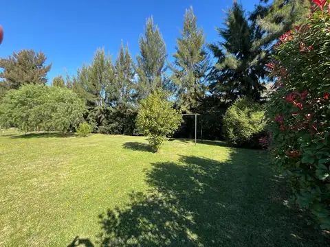 Terreno en Tortugas C.C