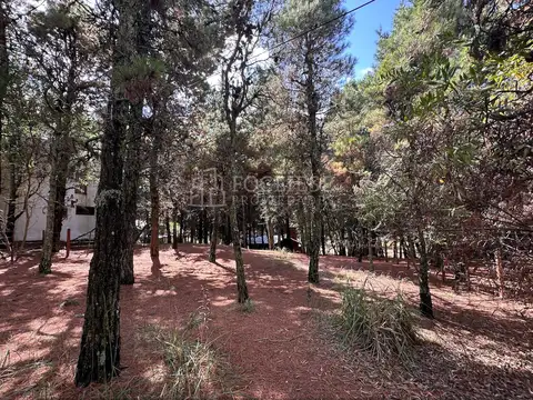 Terreno en Venta 15  mts Frente