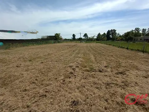 Terreno en Venta 50  mts Frente
