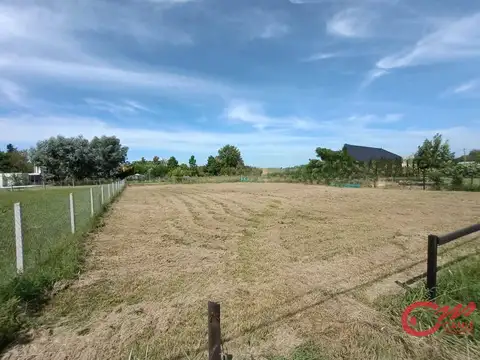Terreno en Venta 20  mts Fondo