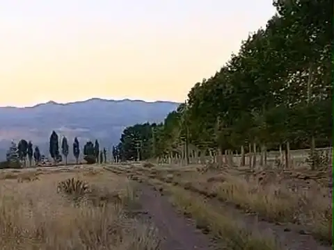 Lote en venta en san alberto uspallata mendoza.