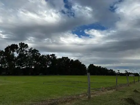 Terreno en venta - 624,28mts2 - Baradero 