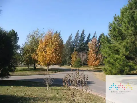 Country Las Fuentes 100