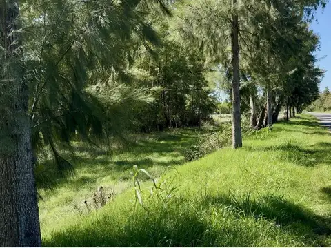 Terreno en Salvador María ¡Gran oportunidad!