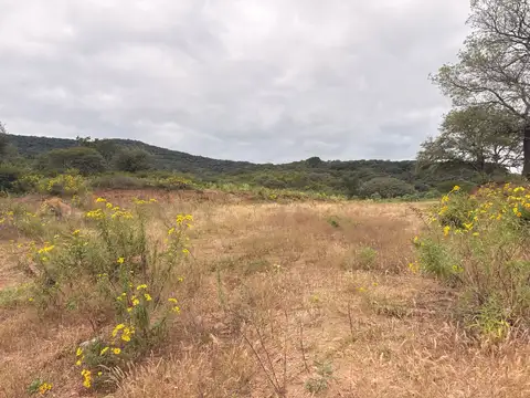 TERRENO BARRIO AUTODROMO