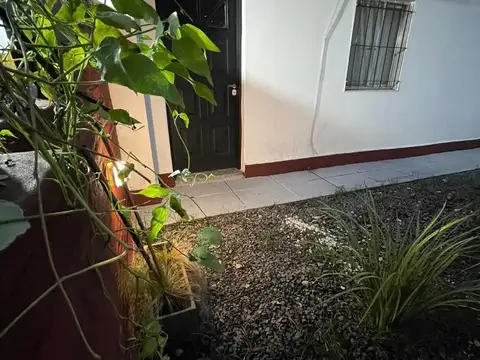 Martin Rodriguez 1800