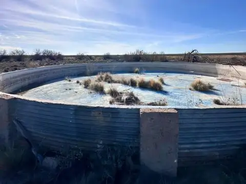 Venta campo 15000 ha departamento Lihuel Calel La Pampa
