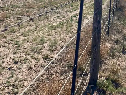 Venta campo 15000 ha departamento Lihuel Calel La Pampa