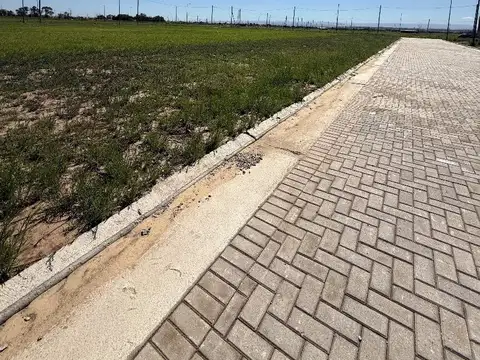 Terreno en Venta de 250,0 m2