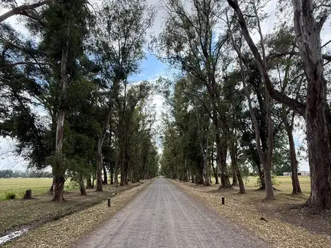 Terreno en Chacras de San Andres, Villa Ruiz. 