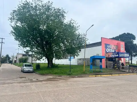 Blvd. Montana