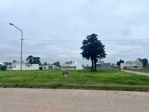 Terrenos en venta